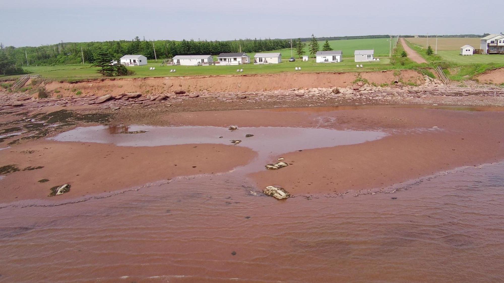 Cottages On Pei-Oceanfront Bedeque Exterior photo